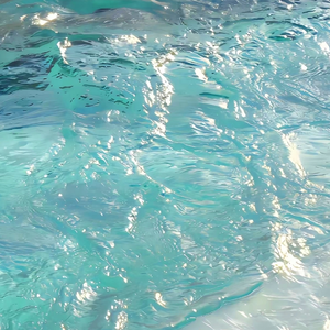 国产网址在线观看
